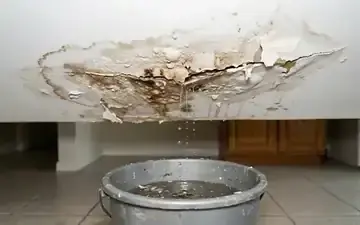 Water stained drywall ceiling from plumbing leak